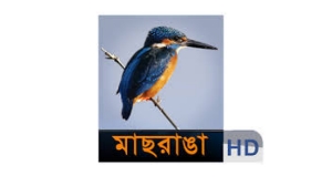Massranga TV